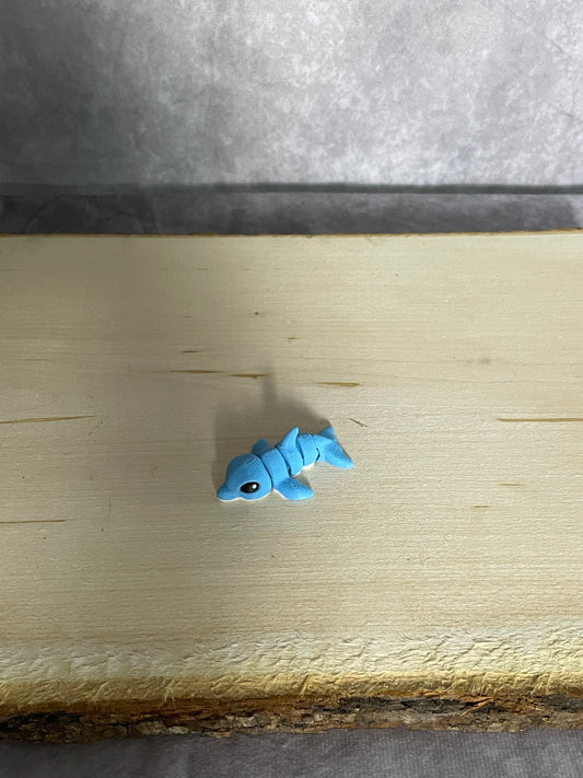 Mini Dolphin