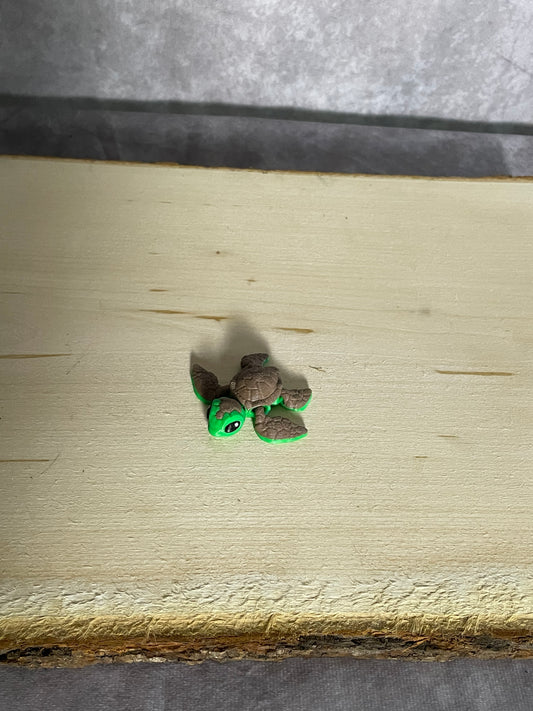 Mini Sea Turtle