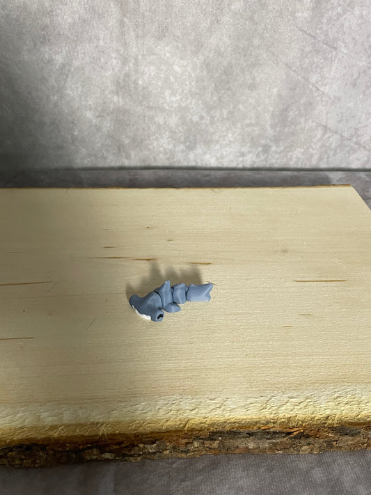 Mini HammerHead Shark