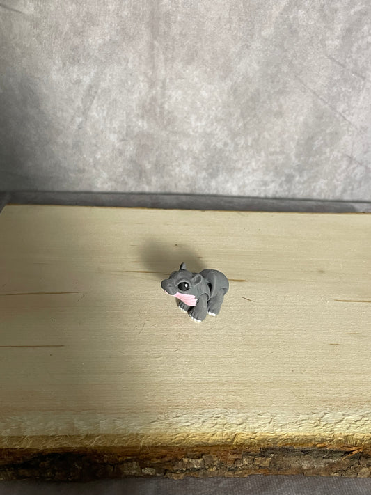 Mini Hippopotamus
